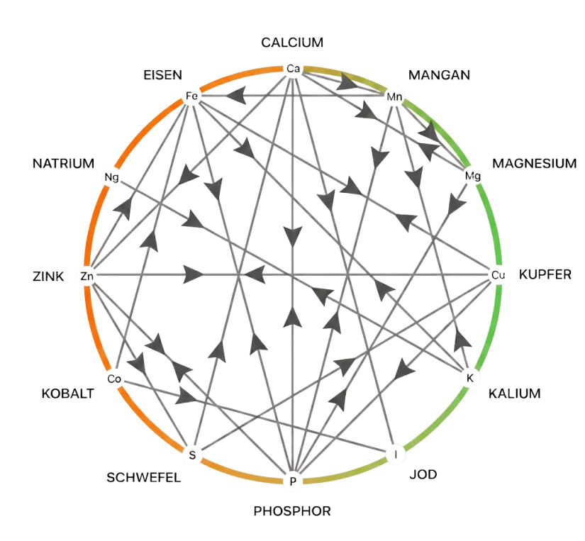 Das Mineral Balancing System